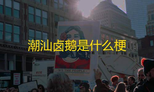 暗区突围科技卡盟潮汕卤鹅是什么梗